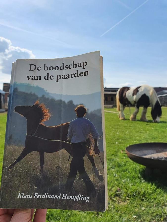 Houten Huisje Tussen Paarden Nieuwerkerken Exterior photo